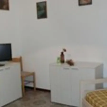 With Pool Garden And Fireplace *